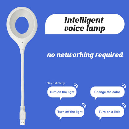 Voice Control USB LED Lamp/Light DP